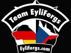 Eylau vom Fuhrenblick