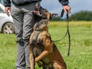 Aka Fergie Chillinois