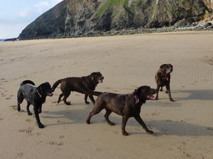 Lacey with grandmother, mother and Ebony