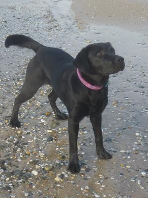 Ebony at seaside
