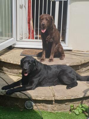 Lacey, Ebony Clemmie's mum and Grand mother