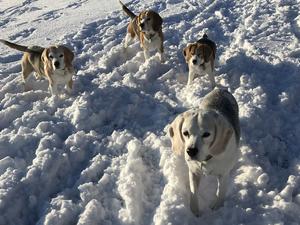 Sally, Teddy, Sybil & Todd