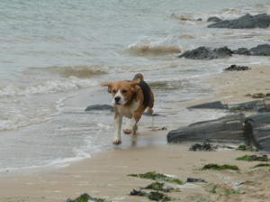 Dialynne Dreamboat on holiday