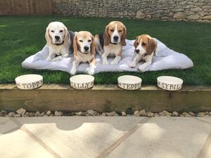 Todd, Sally, Teddy & Sybil