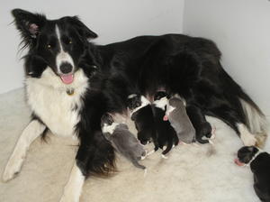 Proud Mum