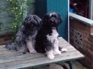 Tallis and Tasha her mum