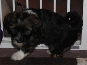 This is Julian(my name ftb) waiting for a home.