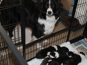 Two weeks old June 2014