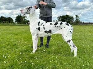 Magic at 3 years old