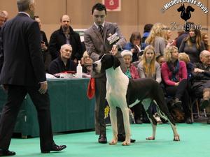 DAD AT CRUFTS
