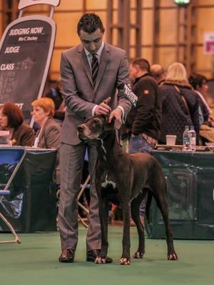 Me & Ellie,Crufts 2014