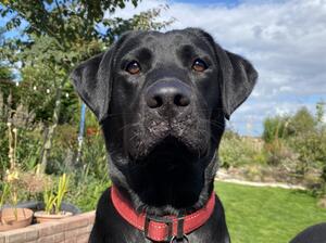 Serious Nora