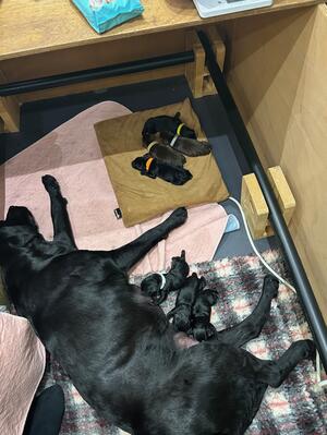 1 day old!
