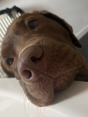 Can I get in the bath?