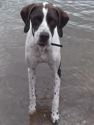 Eva waiting to swim