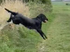 Retrieving from Water