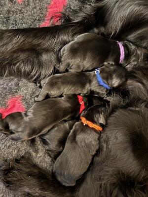 Only a few hours old