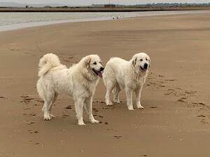 Heidi & her mum Freya
