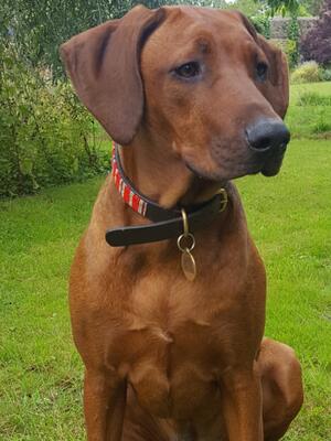 Winnie