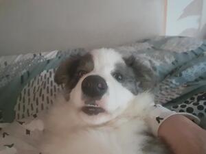 Baby Deeks selfie 🤣
