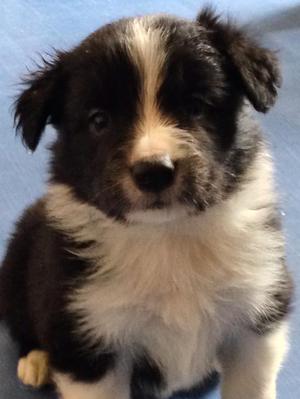 Available boy 1