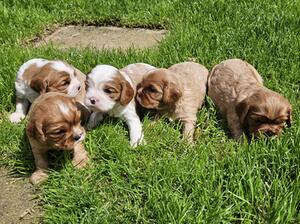 1st time out in the big wide world.
