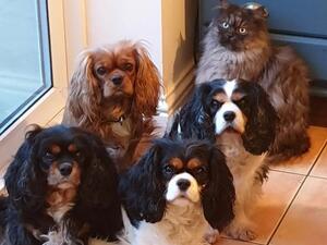 Is it treat time yet?