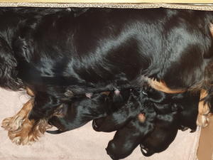 Day 12 and piling on the weight.