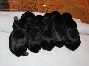 All are doing very well...