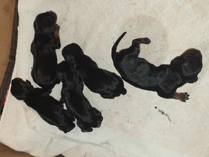 Only hours old.