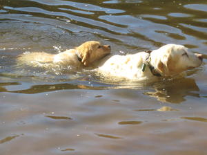 family swimming lesson