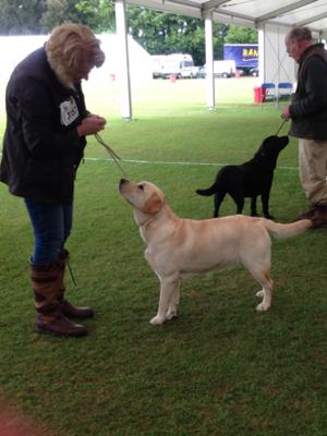 Rosie 1st in class bath 2014