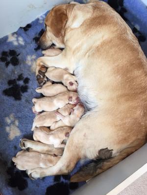 just born 15 June 2015