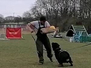 Training