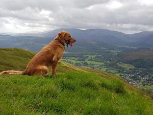 Secret on top of the world!