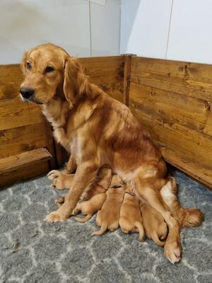 Secret is a wonderful mum
