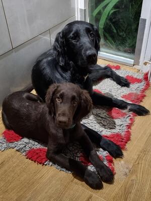 Magic and daughter Olive