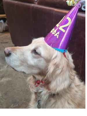 Nearly 13, still fit and healthy