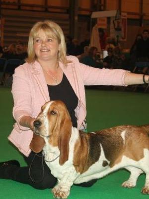 basset hound crufts