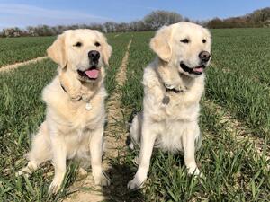 Bunny (right) 4yrs, and daughter Dot
