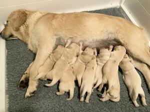 Feeding time