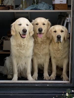 Olive's mum left, Olive and her half sister Dot