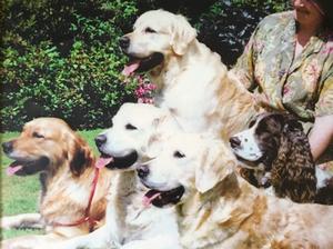 5 Canina Champions