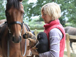 Tuesnoad Alfie and Amelia meet Squirrel