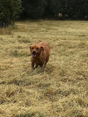 Luna having fun