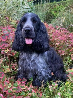 Emma in the garden