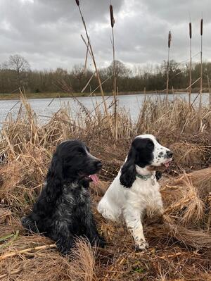 Emma and Gracie
