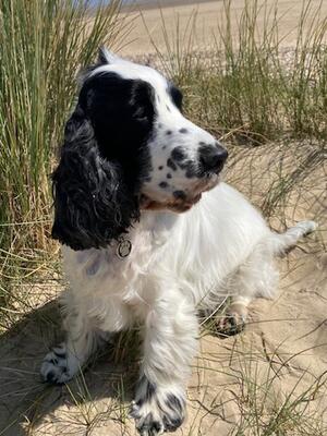 Enjoying the seaside