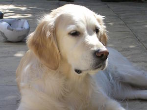 Molly