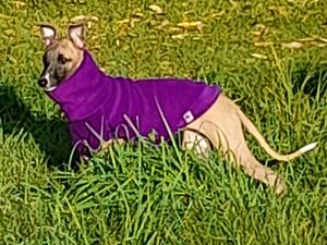 Aged 3 months